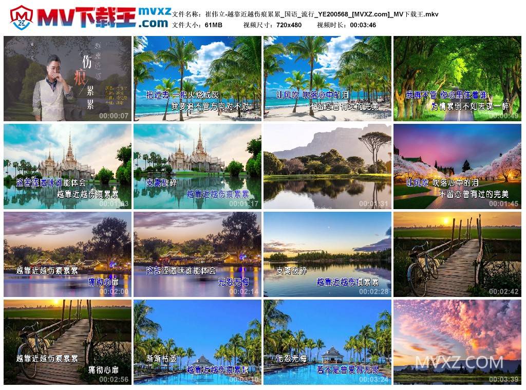崔伟立-越靠近越伤痕累累_国语_流行_YE200568